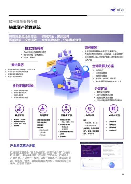 軟件與服務(wù)板塊表現(xiàn)搶眼，信息技術(shù)咨詢(xún)服務(wù)引領(lǐng)增長(zhǎng)